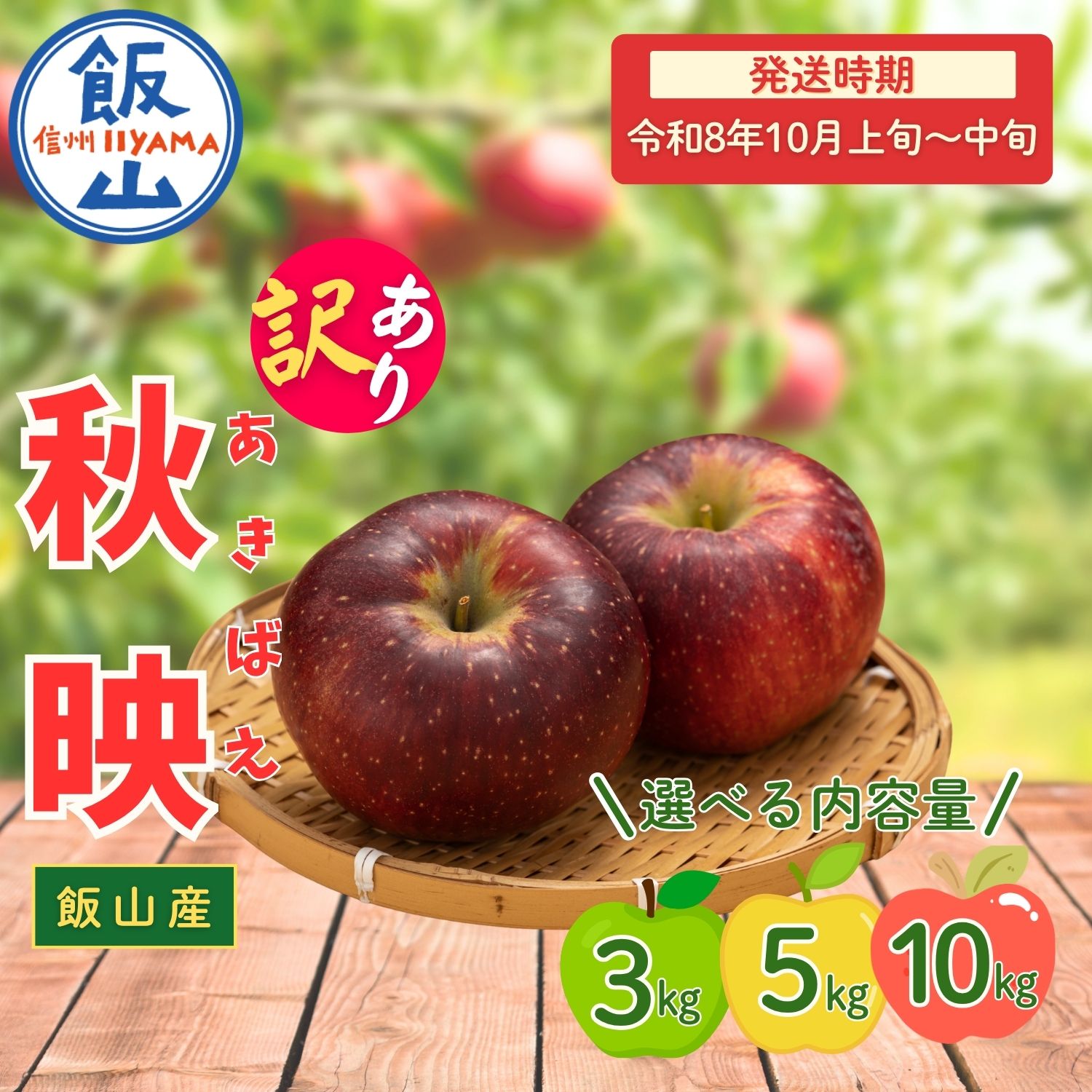 2026年 先行予約 ＼ 訳あり 秋映 （あきばえ）／ 選べる 3kg / 5kg /10kg 長野県産 ＜出荷開始：2026年10月上旬頃〜中旬頃＞【 りんご リンゴ 林檎 フルーツ 果物 信州 規格外 B品 産地直送 新鮮 オススメ 美味しい 長野県 飯山市 】（At)