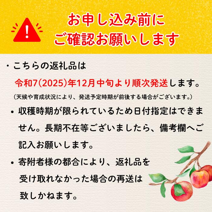 【ふるさと納税】【先行予約】サンふじ 小玉 信州 りんご 選べる 3kg 5kg ＜出荷時期：2025年12月中旬ごろ〜＞（2025年産） (7-A42-1-2)【 りんご フルーツ 長野県 飯山市 甘味 酸味 リンゴ 林檎 くだもの 果物 ギフト プレゼント 】 サムネイル2