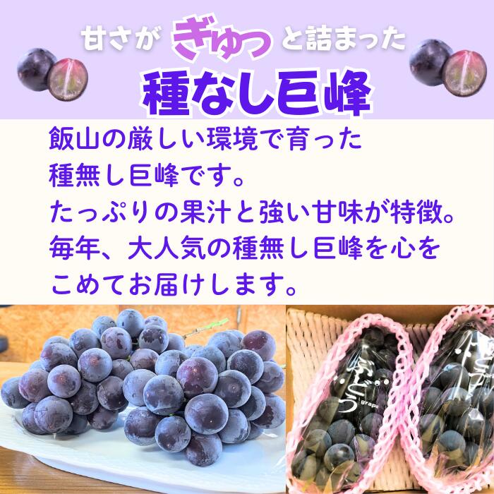 【ふるさと納税】2026年 先行予約 ＼ 種なし巨峰 ／ 2房 / 1kg 長野県産 ＜出荷開始：2026年9月上旬〜下旬頃＞ 【 巨峰 ぶどう 葡萄 種なし フルーツ 果物 くだもの 産地直送 オススメ ギフト 美味しい 甘い 黒ぶどう 黒い宝石 期間限定 旬 信州 長野県 飯山市 】 (7-A20) - 画像2