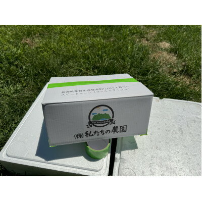 【ふるさと納税】【八ヶ岳産】スイートコーン　ともろこし　グラビス(黄色と白の粒が特徴)　4kg【配送不可地域：離島】【1540746】 - 画像2