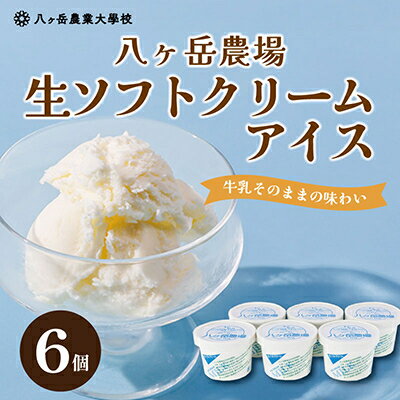 八ヶ岳農場 生ソフトクリームアイス 6個【配送不可地域：離島】【1586194】