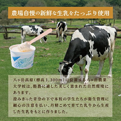 【ふるさと納税】八ヶ岳農場 生ソフトクリームアイス 6個【配送不可地域：離島】【1586194】 - 画像3