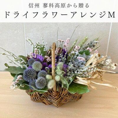 【ふるさと納税】信州八ヶ岳の麓から贈るドライフラワーアレンジメントM(パープル)【1662052】
