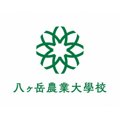【ふるさと納税】【2026年先行予約】 メロンのように甘い 生とうもろこし 10本【配送不可地域：離島】【1662928】 - 画像3