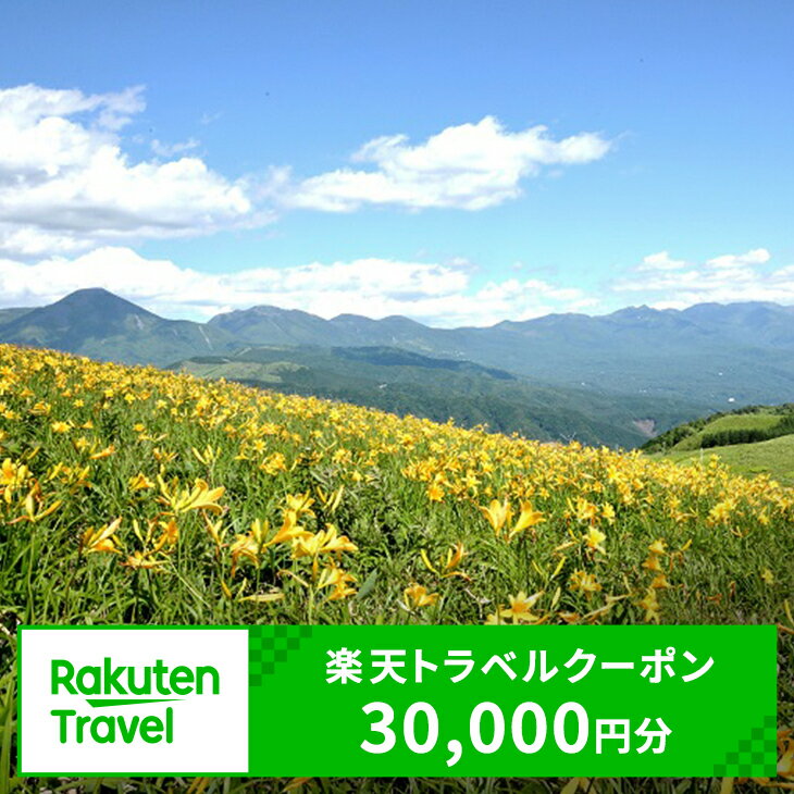 長野県茅野市の対象施設で使える楽天トラベルクーポン寄付額100,000円（クーポン額30,000円）