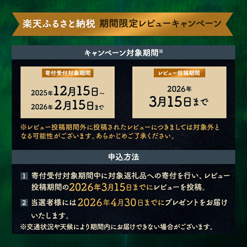 【ふるさと納税】＼レビューキャンペーン／_風が出ない電気暖房機　ヘリテイジヒーター 茅野市オリジナルモデル(ツクモグサ/御射鹿池)_ ヒーター ユーレックス 電気ヒーター オリジナルモデル 暖房 国産 家電 電化製品 冬物 エコ 暖房器具 長野県 茅野市【G1453872】 - 画像3