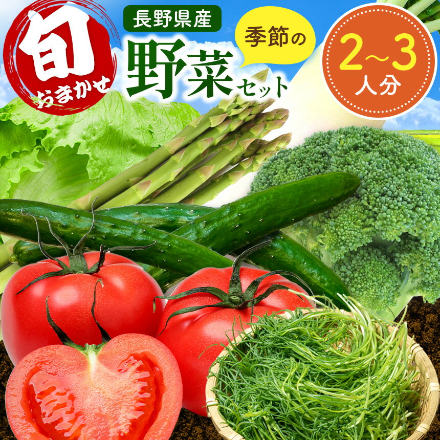 【2026年先行予約】 おまかせ野菜セット 2～3人分 約 5kg | 野菜 やさい 旬 の 野菜 おまかせ セット 長野県 塩尻市