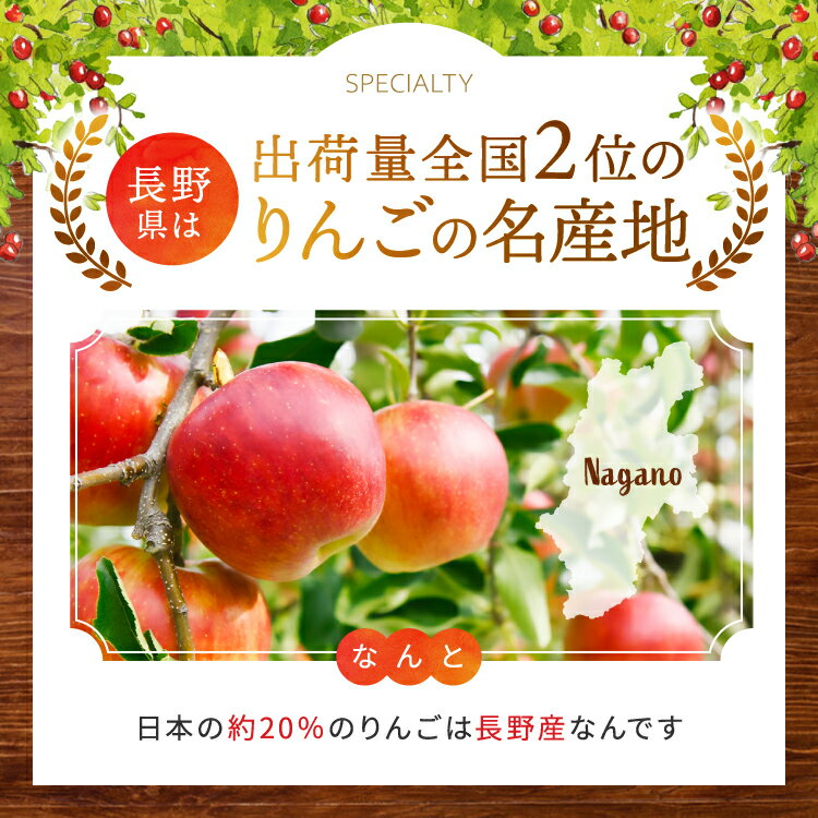 【ふるさと納税】【先行受付】【10月下旬以降発送予定】信州りんご 満喫セット（サンふじ・シナノゴールド） 約5kg （ 18 ～ 20 玉 ）｜ 果物 くだもの フルーツ 林檎 りんご リンゴ 長野県 塩尻市 サムネイル3