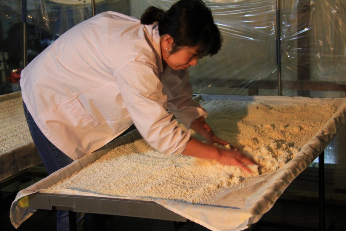 【ふるさと納税】【高波Frozen】しぼりたて生酒を瞬間凍結。凍結酒飲み比べ 特別本醸造+特別純米酒+純米吟醸酒 3種セット 300ml×3本 | 凍結酒 酒 日本酒 凍結 冷凍保存 アルコール 飲み比べ セット しぼりたて フレッシュ 長野県 塩尻市 サムネイル3