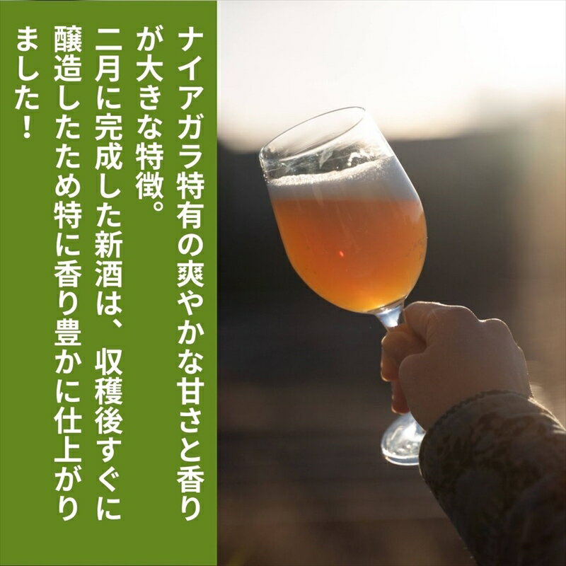 【ふるさと納税】ジャパン・グレートビア・アワーズ 2024金賞｜ナイアガラホップ（信州塩尻産ナイアガラ100%使用 ） 2本 or 6本 選べる本数【 ビール クラフトビール 長野県 塩尻市 】 サムネイル3