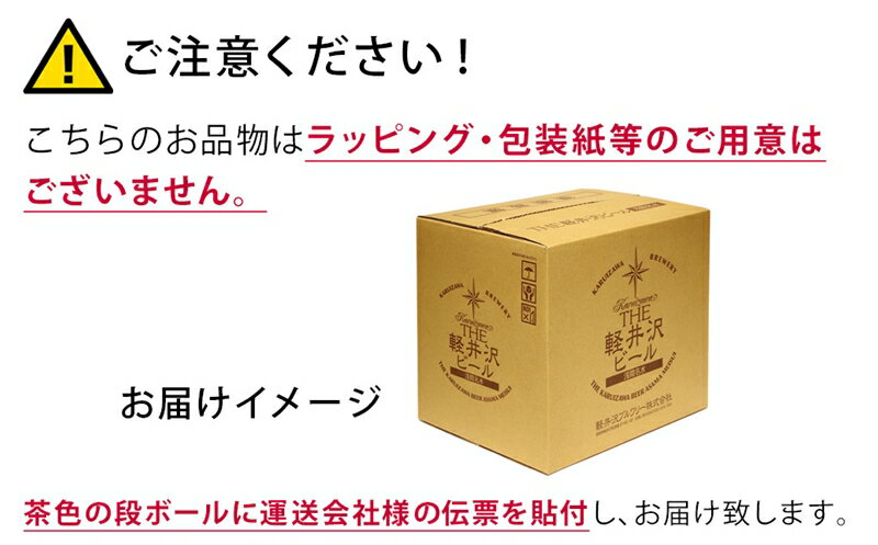 【ふるさと納税】【10カ月定期便】 THE軽井沢ビール 10種 20本 飲み比べ セット 【 軽井沢ブルワリー こだわりの10種の味 種類の豊富さ　地元佐久・軽井沢浅間山の清らかな冷涼名水　国産柚子 長野県 佐久市 】 サムネイル2