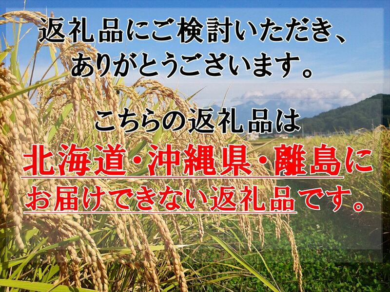 【ふるさと納税】【令和7年産・白米10kg（5kg×2袋）】佐久市産ミルキークイーン（北海道・沖縄・離島は配送不可） モチモチ お弁当 粘り 長野県 信州【 米 コメ 白米 精米 お米 こめ おこめ 一等米 単一原料米 信州 長野県 佐久市 】 - 画像2