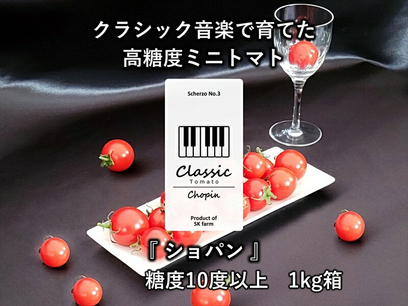 高糖度クラシックミニトマト『ショパン』約1kg箱＜北海道・沖縄県・離島は発送不可＞　長野県　信州　佐久市　野菜　旬彩　プチ　小粒