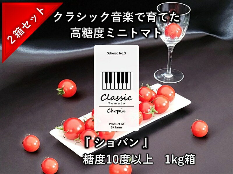 高糖度クラシックミニトマト『ショパン』約1kg箱 x 2箱＜北海道・沖縄県・離島は発送不可＞　長野県　信州　佐久市　野菜　旬彩　プチ　小粒