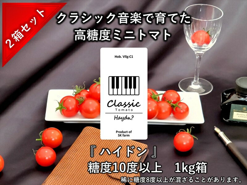高糖度クラシックミニトマト『ハイドン』約1kg箱 x 2箱＜北海道・沖縄県・離島は配送不可＞　長野県　信州　佐久市　野菜　旬彩　プチ　小粒