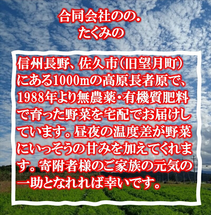 【ふるさと納税】【5ヶ月定期便】旬の野菜7種『たくみのほほ笑みセット』（2026年7～11月出荷／北海道・九州・沖縄県・離島は配送不可） 旬彩 長野県 信州 おまかせ 高原 産地直送 季節 詰合せ 有機 栽培 先行予約 - 画像3