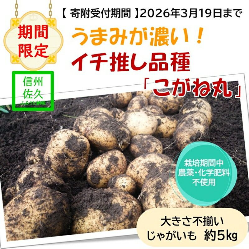 【期間限定】ジャガイモ約5kg（北海道・沖縄県・離島配送不可）旨味が濃い！農園いち推しの品種「こがね丸」 長野県 信州 佐久市 高原