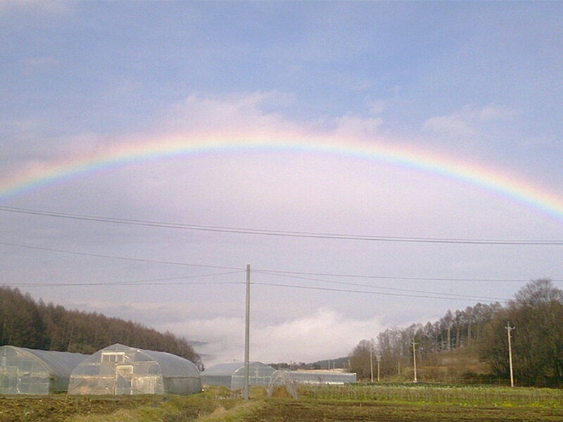 【ふるさと納税】【期間限定】ジャガイモ約5kg（北海道・沖縄県・離島配送不可）旨味が濃い！農園いち推しの品種「こがね丸」 長野県 信州 佐久市 高原 - 画像3