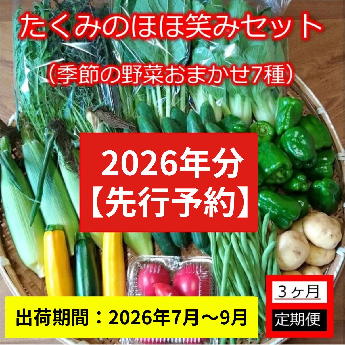 【3ヶ月定期便】旬の野菜7種『たくみのほほ笑みセット』（2026年7～9月出荷／北海道・九州・沖縄県・離島は配送不可） 旬彩 長野県 信州 おまかせ 高原 産地直送 季節 詰合せ 有機 栽培 先行予約