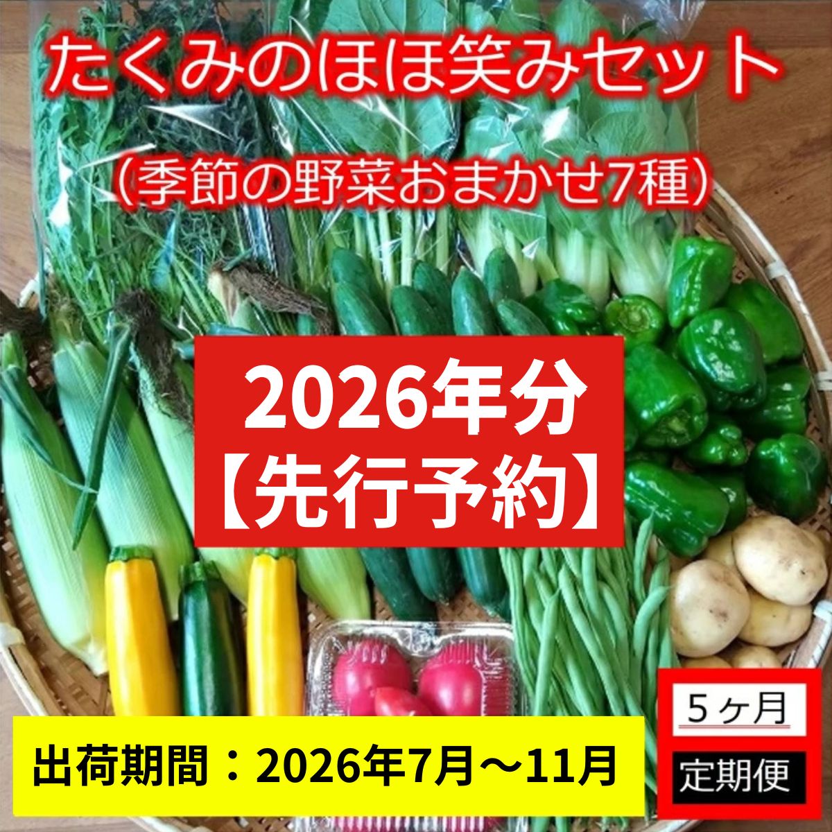 【5ヶ月定期便】旬の野菜7種『たくみのほほ笑みセット』（2026年7～11月出荷／北海道・九州・沖縄県・離島は配送不可） 旬彩 長野県 信州 おまかせ 高原 産地直送 季節 詰合せ 有機 栽培 先行予約