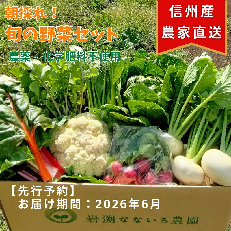 【先行予約〈出荷時期:2026年6月出荷〉】朝採れおまかせ旬の高原野菜 7種セット (北海道・沖縄県・離島は配送不可)　長野県　信州　栽培期間中　無農薬　産地直送　季節　旬　岩渕なないろ農園 旬彩