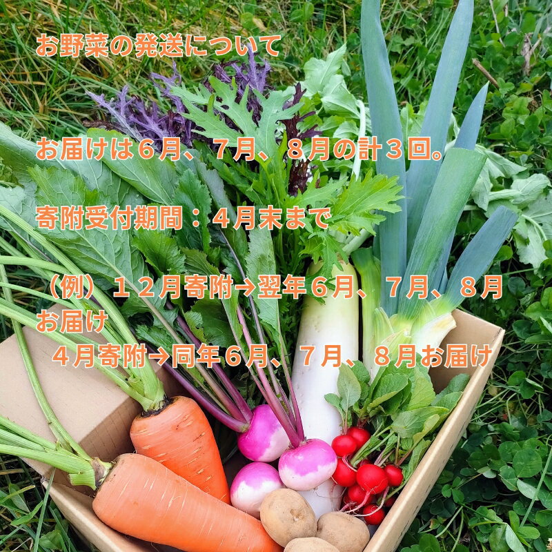 【ふるさと納税】【先行予約・定期便全3回〈出荷時期:2026年6月～8月出荷〉】朝採れおまかせ旬の高原野菜 7種セット (北海道・沖縄県・離島は配送不可)　長野県　信州　栽培期間中　無農薬　産地直送　季節　旬　岩渕なないろ農園 旬彩 - 画像2