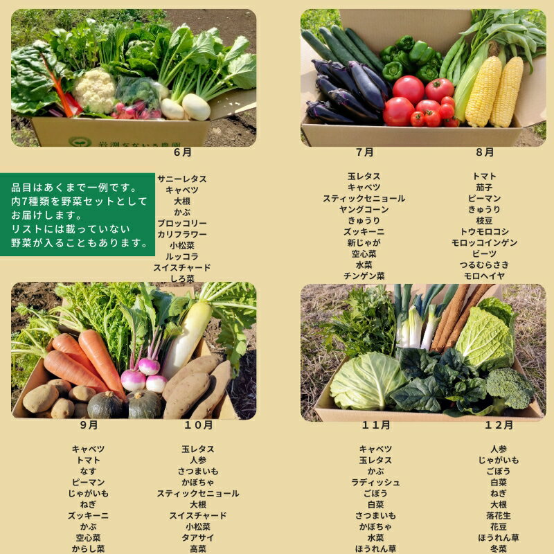 【ふるさと納税】【先行予約・定期便全3回〈出荷時期:2026年6月～8月出荷〉】朝採れおまかせ旬の高原野菜 7種セット (北海道・沖縄県・離島は配送不可)　長野県　信州　栽培期間中　無農薬　産地直送　季節　旬　岩渕なないろ農園 旬彩 - 画像3