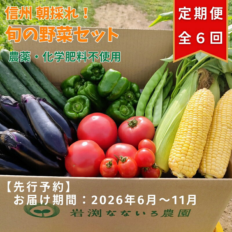 【先行予約・定期便全6回〈出荷時期:2026年6月～11月出荷〉】朝採れおまかせ旬の高原野菜 7種セット (北海道・沖縄県・離島は配送不可)　長野県　信州　栽培期間中　無農薬　産地直送　季節　旬　岩渕なないろ農園 旬彩