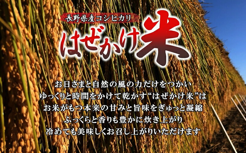 【ふるさと納税】【令和7年産・白米5kg】長野県産こしひかり はぜかけ米（北海道・沖縄県・離島は配送不可）精米 産地直送 信州 長野県 佐久市 美味しい うるち米 - 画像2