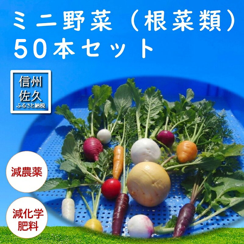 長野県佐久市産『ミニ野菜(根菜類)50本セット』（北海道・沖縄・離島は配送不可） 高原野菜 産地直送 新鮮 旬彩 減農薬 減化学肥料 信州 おまかせ【 長野県 佐久市 】