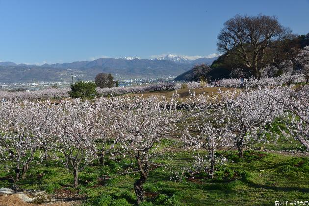 【ふるさと納税】長野県千曲市の対象施設で使える 楽天トラベルクーポン 寄付額30,000円(クーポン 9,000円)|rakutenトラベル 宿泊予約 宿泊ふるさと納税 宿泊 旅行 トラベル 温泉 家族旅行 カップル 観光 旅行 ホテル 旅館 父の日 母の日 宿泊 プレゼント - 画像3