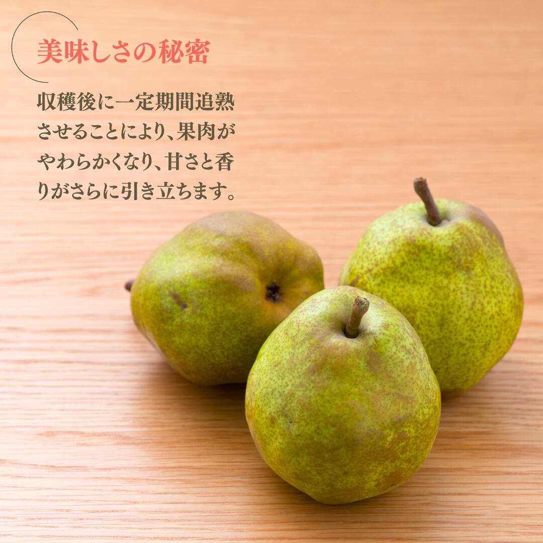 【ふるさと納税】洋梨 ラ・フランス 約3kg / 5kg| 信州 長野 千曲市 送料無料 サムネイル2