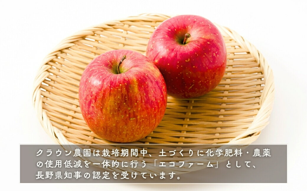 【ふるさと納税】【2026年先行予約】りんご 園主におまかせ 詰合せ 計約2kg/3kg/5kg りんごの宝石箱 ｜産地直送 シナノスイート シナノゴールド 秋映 あいかの香り 群馬名月 王林 紅玉 シナノホッペ サンふじ - 画像3