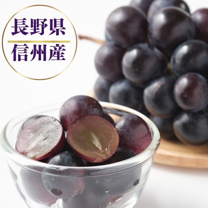 【ふるさと納税】【2026年先行予約】ナガノパープル 1房（400g以上）/ 約1kg（2~3房）/ 約2kg（4~6房）｜ 果物 フルーツ 黒ぶどう 葡萄 ブドウ 種無し 種なし 皮ごと 千曲市 長野県 信州 - 画像2