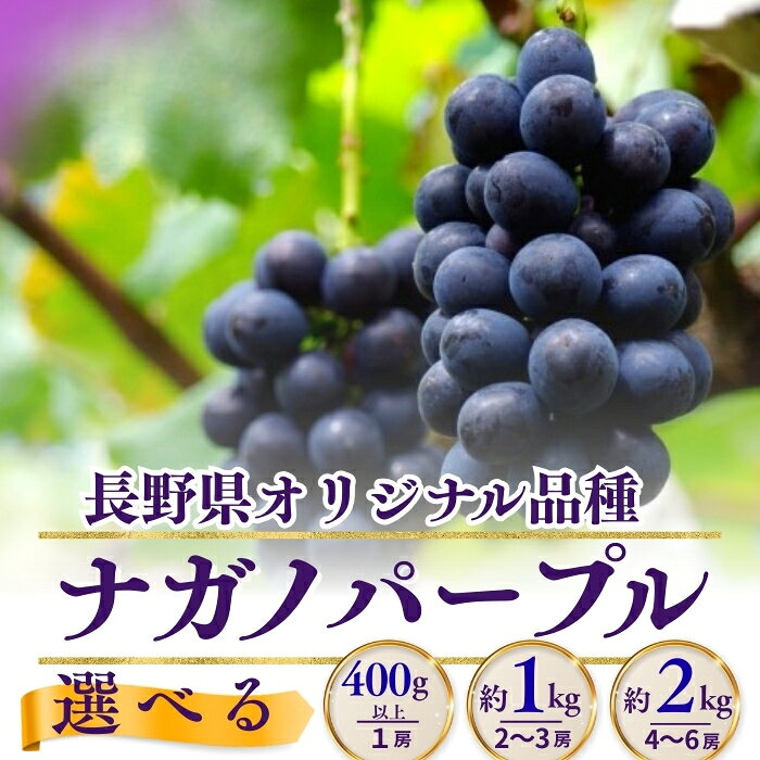 【2026年先行予約】ナガノパープル 1房（400g以上）/ 約1kg（2~3房）/ 約2kg（4~6房）｜ 果物 フルーツ 黒ぶどう 葡萄 ブドウ 種無し 種なし 皮ごと 千曲市 長野県 信州