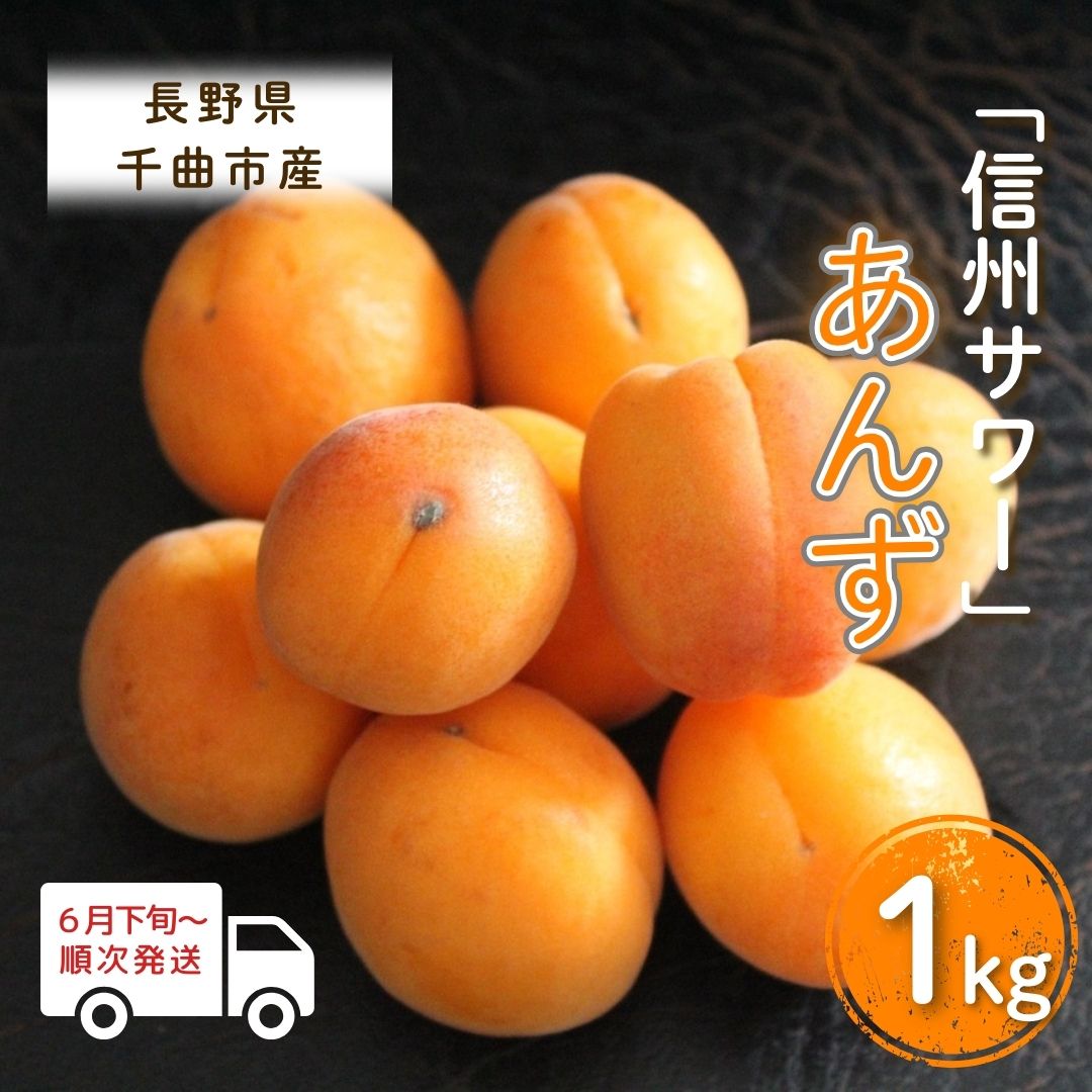 【2026年先行予約】あんず 信州サワー(長野県オリジナル品種) 約1kg 杏子 アプリコット 千曲市産 長野県 信州