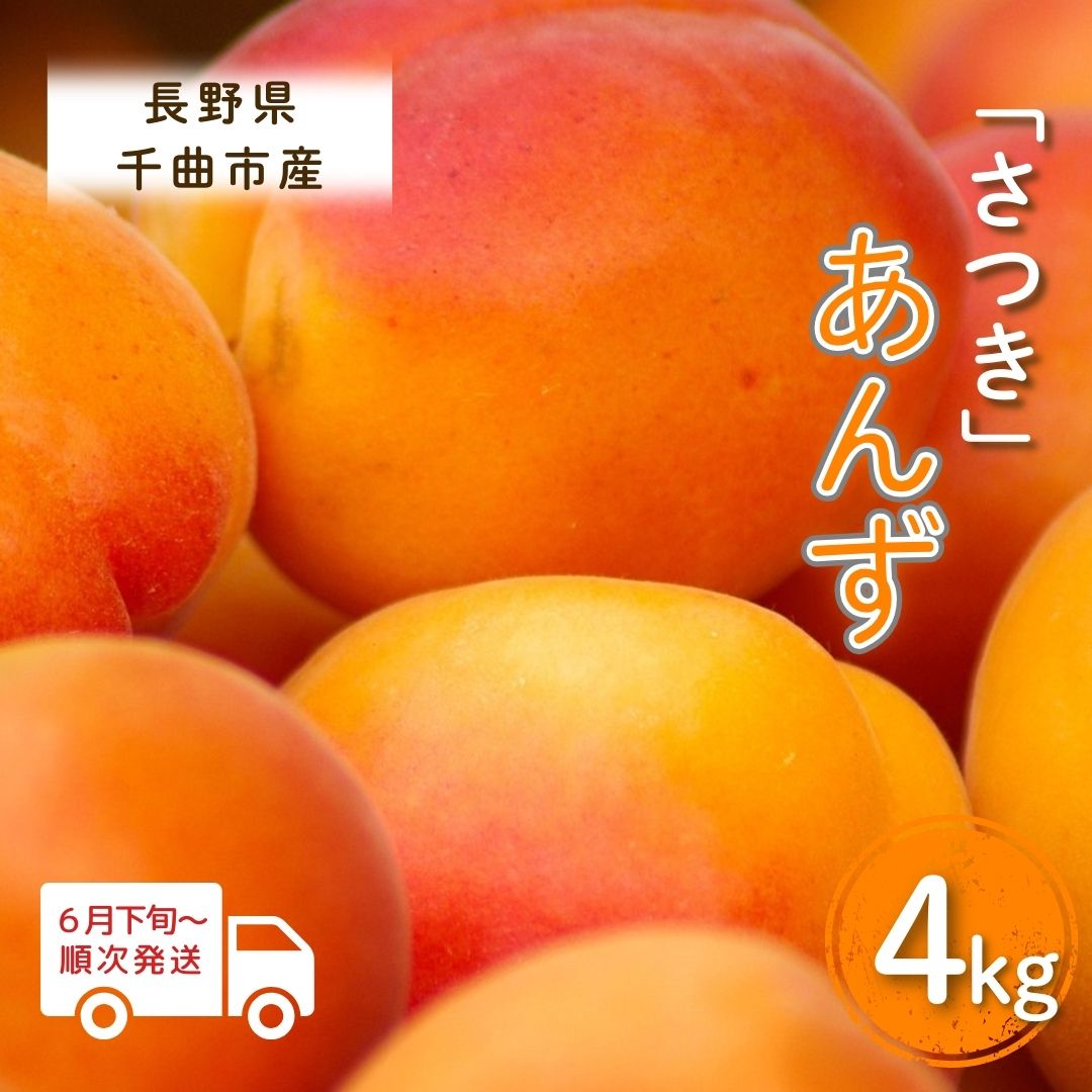 【2026年先行予約】あんず さつき(長野県オリジナル品種) 約4kg 杏子 アプリコット 長野県産 千曲市 信州