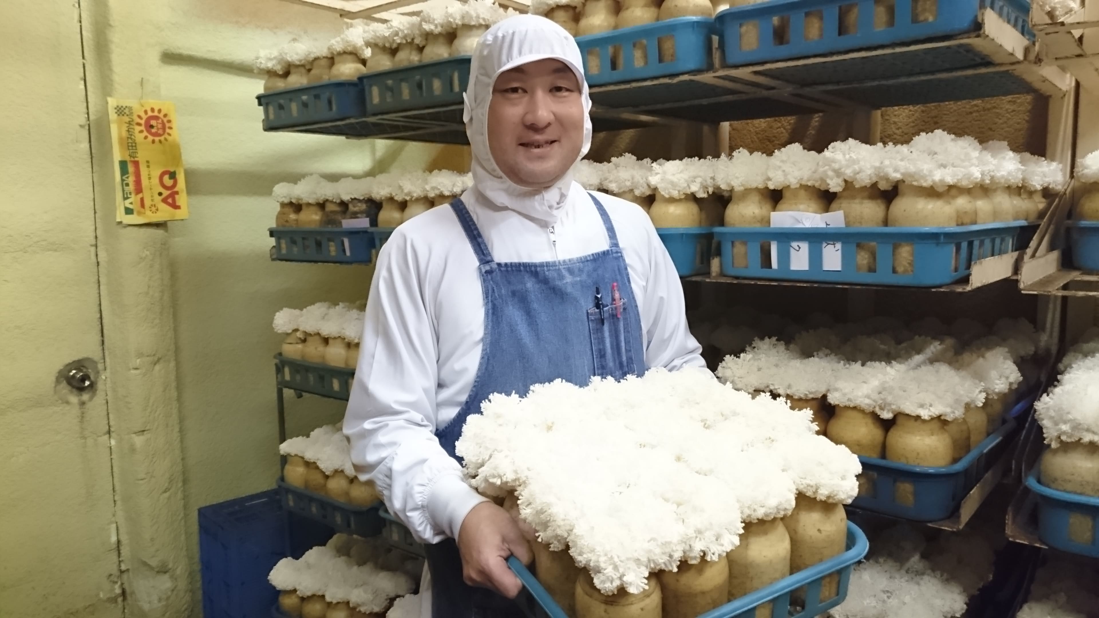 【ふるさと納税】旬のきのこ6種+きのこご飯の素セット 有機栽培 炊き込みご飯の素| 信州 長野 千曲市 送料無料 - 画像3