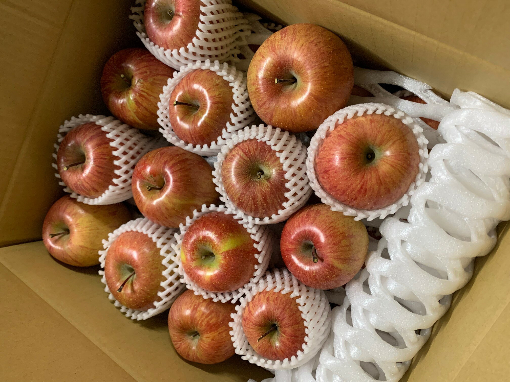 【ふるさと納税】 りんご 訳あり サンふじ 約10kg | 林檎 リンゴ アップル 果物 くだもの フルーツ ふじ フジ さんふじ 富士 10kg 10キロ わけあり 訳アリ 人気 おすすめ お取り寄せ 産地直送 長野県産 信州林檎 信州りんご 信州 長野 千曲市 浅間商産 ヤマサン サムネイル2