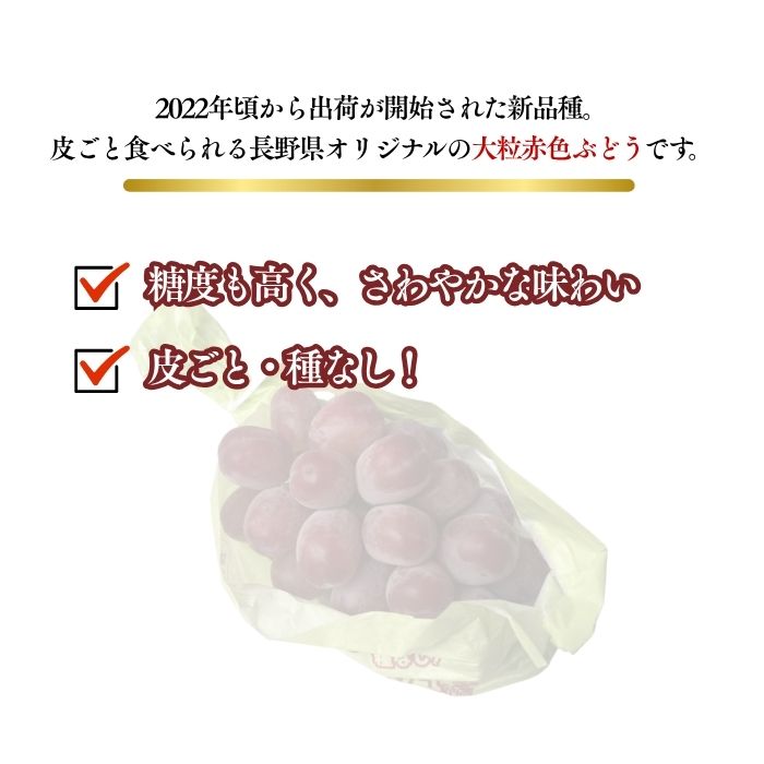 【ふるさと納税】【2026年先行予約】ぶどう クイーンルージュ®約1kg｜果物 フルーツ 赤ぶどう 葡萄 ブドウ 種無し 種なし 皮ごと 千曲市 長野県 信州 サムネイル2