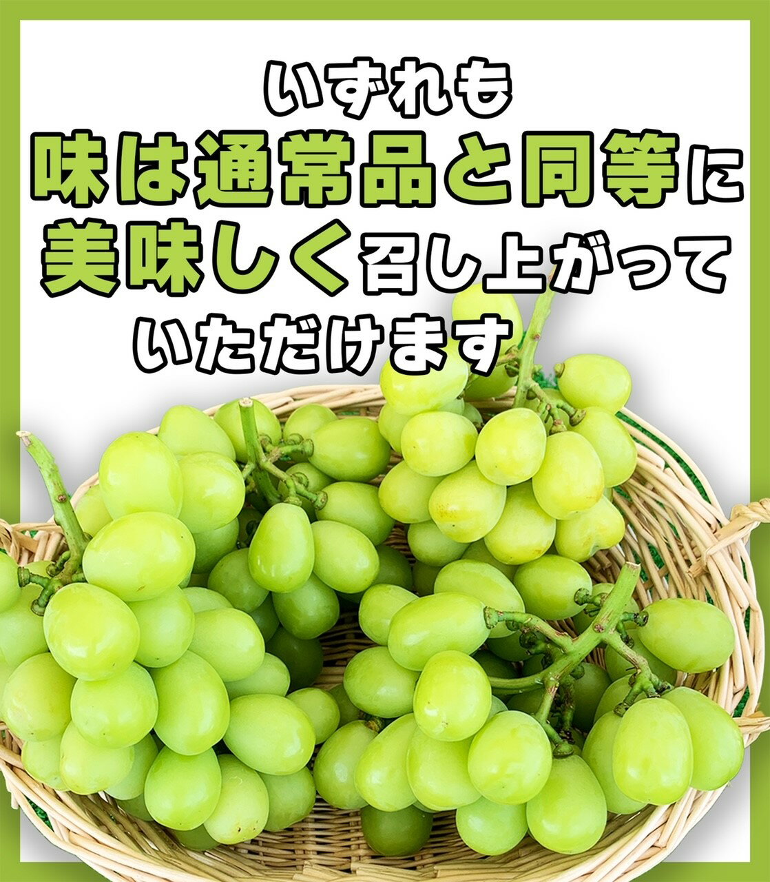 【ふるさと納税】【2026年先行予約】訳あり シャインマスカット 家庭用 約2kg（4~6房）※最低1.8kg以上 | 葡萄 グレープ 果物 フルーツ 2キロ 信州ぶどう 信州葡萄 産地直送 お取り寄せ 種無し 皮ごと食べれる 白ぶどう マスカット 訳アリ 信州 長野 千曲市 - 画像2