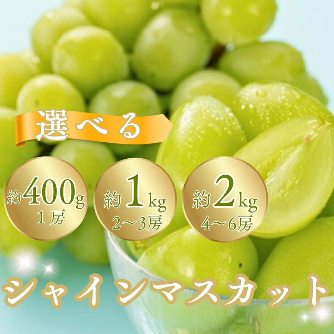 【2026年先行予約】シャインマスカット 400g以上(1房) / 約1kg（2~3房）/ 約2kg（4~6房） | 葡萄 グレープ 果物 フルーツ シャインマスカット 1kg 信州ぶどう 信州葡萄 産地直送 種無し 皮ごと食べれる 白ぶどう マスカット 信州 長野 千曲市