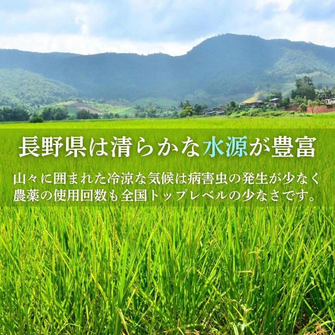 【ふるさと納税】長野県産 もち米 1.5kg/3kg/10kg/30kg 令和7年産｜ 白米 コメ お米 餅米 精米 赤飯 おこわ 千曲市 長野県 信州 - 画像3