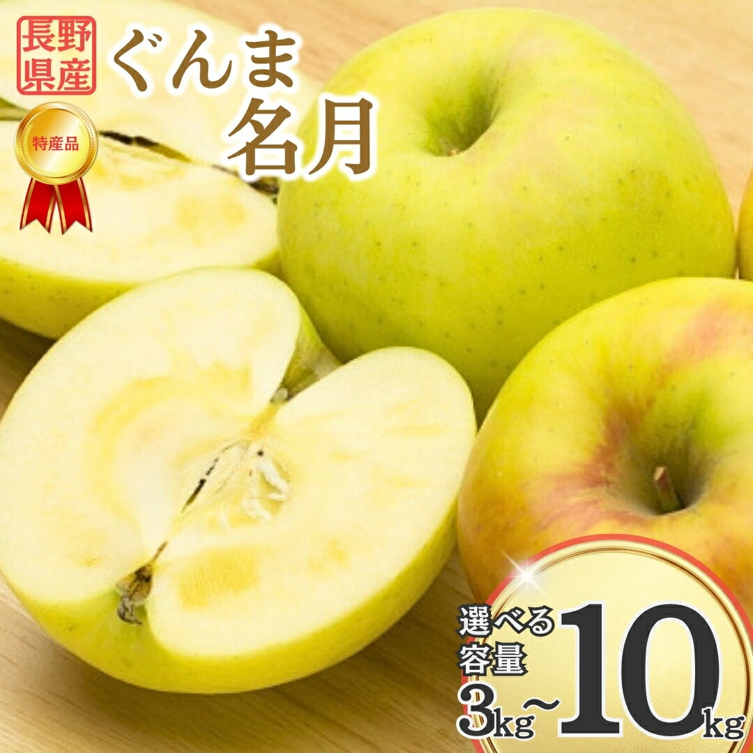 りんご ぐんま名月 蜜入り 約 3kg / 5kg / 10kg | 林檎 リンゴ アップル 果物 くだもの フルーツ ぐんまめいげつ 群馬名月 3キロ 5キロ 10キロ 人気 おすすめ お取り寄せ 産地直送 長野県産 信州林檎 信州りんご 信州 長野 千曲市 送料無料