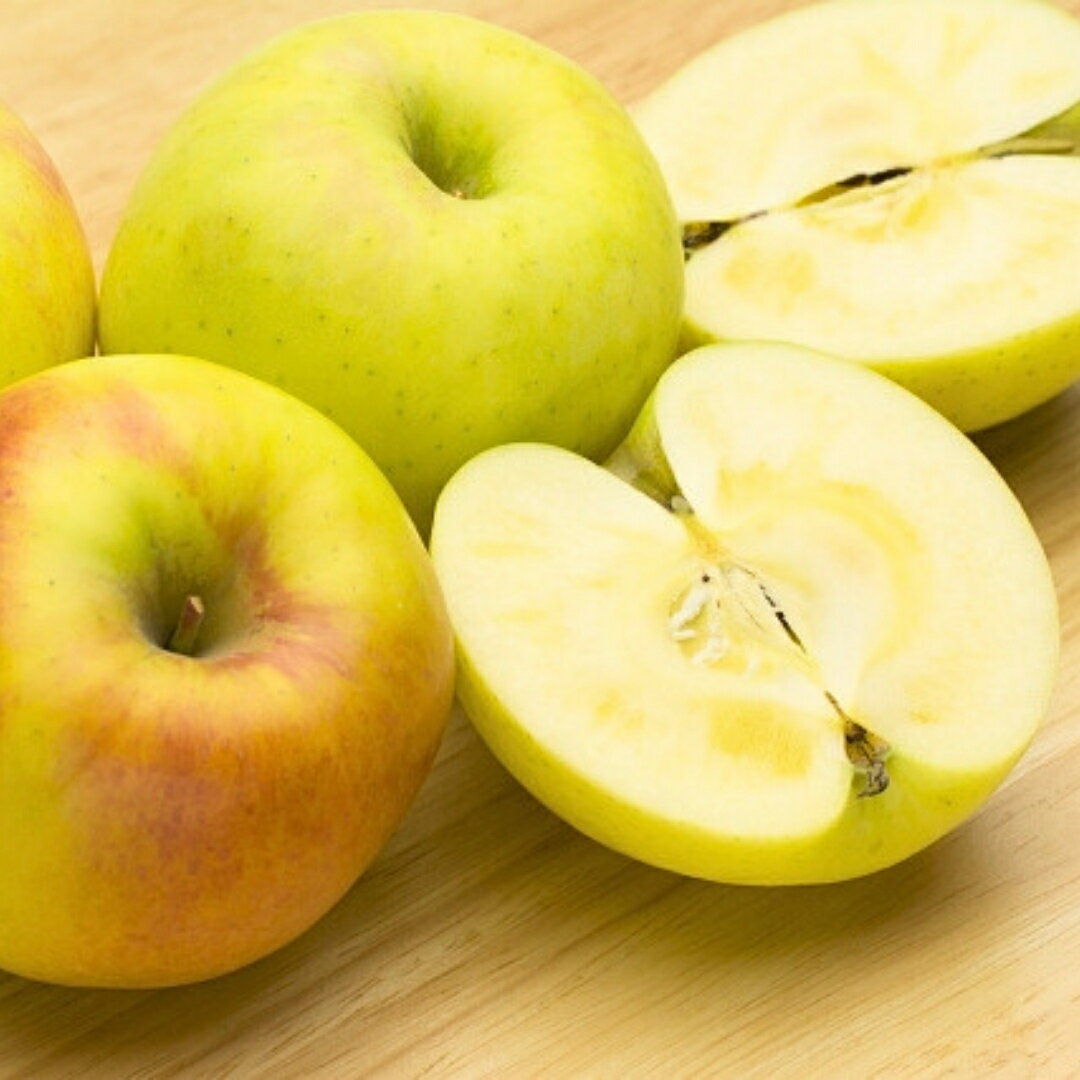 【ふるさと納税】りんご ぐんま名月 蜜入り 約 3kg / 5kg / 10kg | 林檎 リンゴ アップル 果物 くだもの フルーツ ぐんまめいげつ 群馬名月 3キロ 5キロ 10キロ 人気 おすすめ お取り寄せ 産地直送 長野県産 信州林檎 信州りんご 信州 長野 千曲市 送料無料 サムネイル2