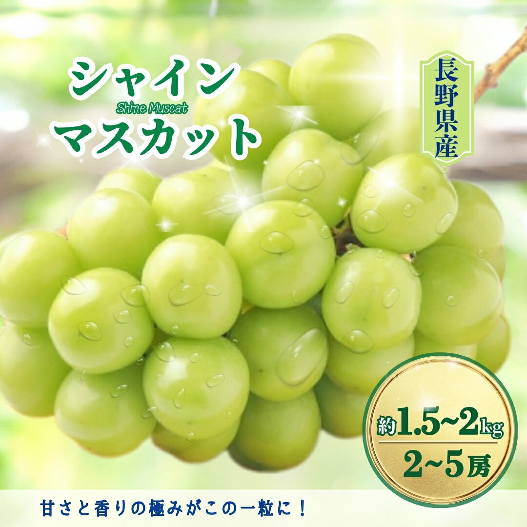 【2026年先行予約】シャインマスカット 約1.5kg / 約2kg｜ 果物 フルーツ 白ぶどう 葡萄 ブドウ 種無し 種なし 皮ごと 千曲市 長野県 信州