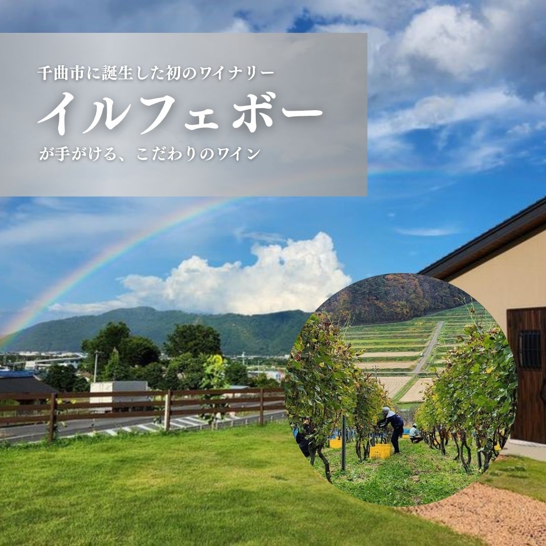 【ふるさと納税】白ワイン＜メテオレ＞ 750ml × 1本| 信州 長野 千曲市 送料無料 サムネイル2