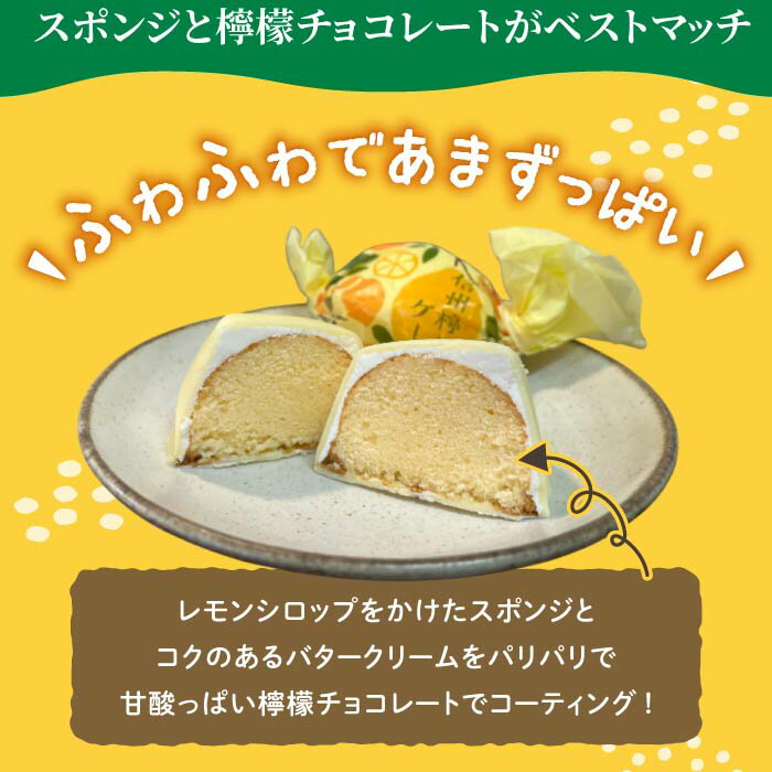 【ふるさと納税】信州檸檬ケーキ | スイーツ 焼菓子 お取り寄せ 個包装 冷凍 ギフト プレゼント お土産 レモン ケーキ チョコレート【御菓子処花岡】 - 画像2