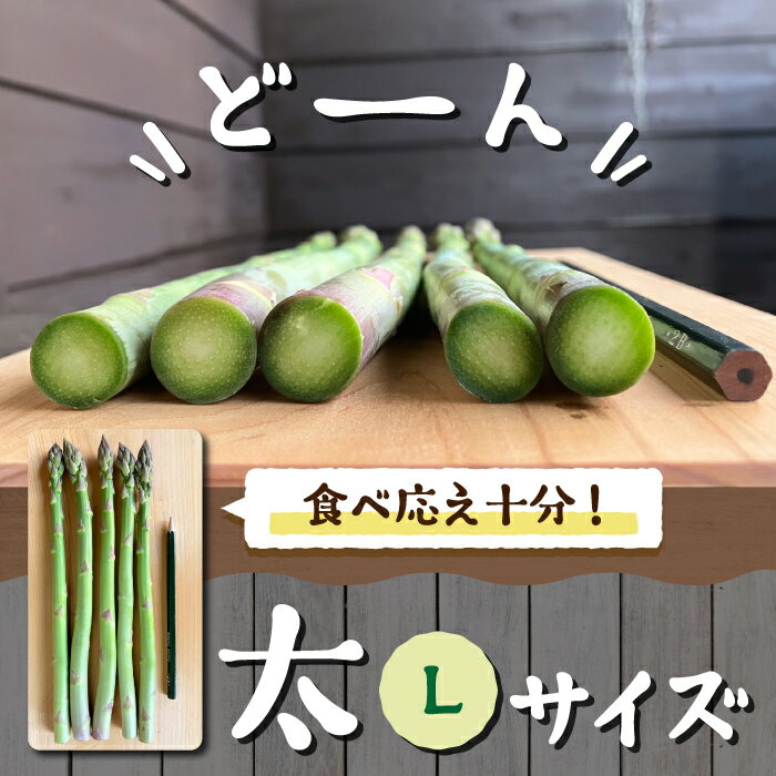 【ふるさと納税】【先行受付2026年発送】農家直送！新鮮！春獲れ太（L）アスパラ｜のららぼ農園 ※2026年4月上旬～5月下旬発送予定 - 画像3