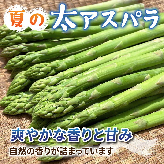 【ふるさと納税】【先行受付2026年発送】農家直送！新鮮！夏獲れ太（L～2L）アスパラ｜のららぼ農園 ※2026年7月上旬～9月中旬発送予定 - 画像2